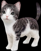 画像ギャラリー No.003のサムネイル画像 / 「てのひらニャンコ」のDL数が10万を突破。記念キャンペーンを開催