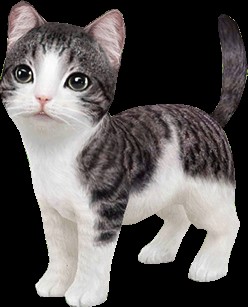 ���������꡼ No.002�Υ���ͥ������ / �֤ƤΤҤ�˥�󥳡ס���ɸã���ǡ����𥹥����աפ���館��Twitter�����ڡ��󤬳���