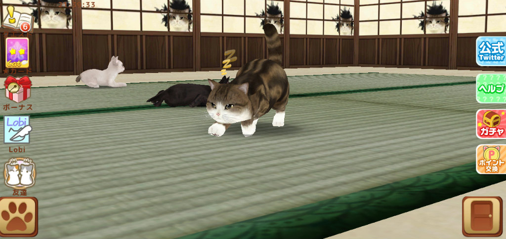 画像集 002 てのひらニャンコ ダイヤやまるの壁紙をもらえる猫の日企画 画像集 002 てのひらニャンコ ダイヤやまるの壁紙をもらえる猫の日企画