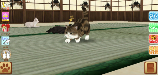 画像ギャラリー No.002のサムネイル画像 / 「てのひらニャンコ」,ダイヤやまるの壁紙をもらえる猫の日企画が開催