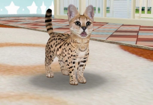 画像ギャラリー No.001のサムネイル画像 / 「てのひらニャンコ」,サーバルの「ガーくん」が抽選で当たるキャンペーンを実施