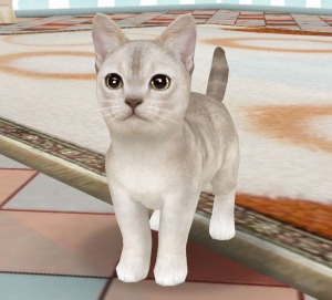 ꡼ No.001 | ֤ƤΤҤ˥󥳡ץǥ쥢ˤ󤳤֥ڥ륭ڡפ»