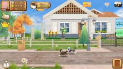 てのひらニャンコ