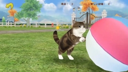 画像ギャラリー No.006のサムネイル画像 / Android版「てのひらニャンコ」の配信日が7月6日に決定