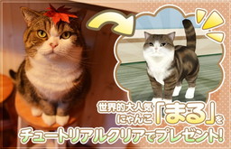 画像ギャラリー No.008のサムネイル画像 / 「てのひらニャンコ」のAndroid版が配信開始。記念キャンペーンが開催中