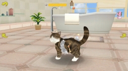 てのひらニャンコ