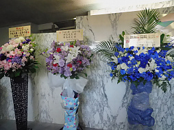 ꡼ No.001 | ᥤɥޤǤޤΥХåɥ!?ĤȤϰ㤦פФĤäֲŷβ ǯαפݡ