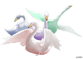 ꡼ No.003Υͥ / ִ߾פȡ֥륷פΥܥ졼1121饹