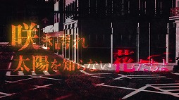 ꡼ No.003 | ִ߾פΥᥤ󥹥ȡ꡼Υץ˥ư褬