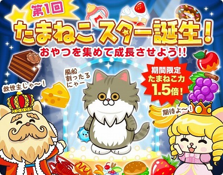 ꡼ No.002 | ֤ޤͤס٥ȡ1󤿤ޤͤɤ725곫