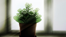 ���������꡼ No.014�Υ���ͥ������ / ���˥�֥�����ɥޥ��ҡ��������פ���7�ä��餹�������̼̿�������