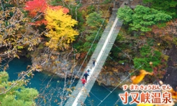 ꡼ No.005 | Ŵƻˤäݤϩ 󤷤ȡޥԡפȯ728˷