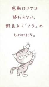 ꡼ No.003 | ɥͥʪ줬볨ܥ֤ҤȤܤäΥΥפۿ