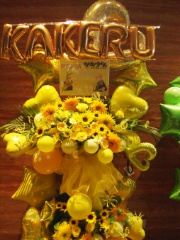 ꡼ No.009 | ֥ĥפΥ٥ȡַβƺפפݡȡ˭ʥɥȥޥ͡㡼餸12ͤΥ㥹Ȥо줷٥ȤͤϤ