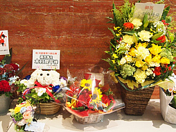 ꡼ No.016 | ֥ĥפΥ٥ȡַβƺפפݡȡ˭ʥɥȥޥ͡㡼餸12ͤΥ㥹Ȥо줷٥ȤͤϤ