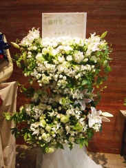 ꡼ No.021 | ֥ĥפΥ٥ȡַβƺפפݡȡ˭ʥɥȥޥ͡㡼餸12ͤΥ㥹Ȥо줷٥ȤͤϤ