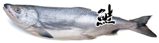 ���������꡼ No.002�Υ���ͥ������ / �֥饦���������KIRIMI�����.���줯�����ѥ���ס�������Ͽ�μ��դ�����