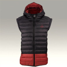 ꡼ No.015 | UBIDAY2016ɤʪΤաɤ˴ؤɲþ󤬸ǲ֥ ꡼ɡפαAssassins Creed The Ezio Collection׻ͷνŸ