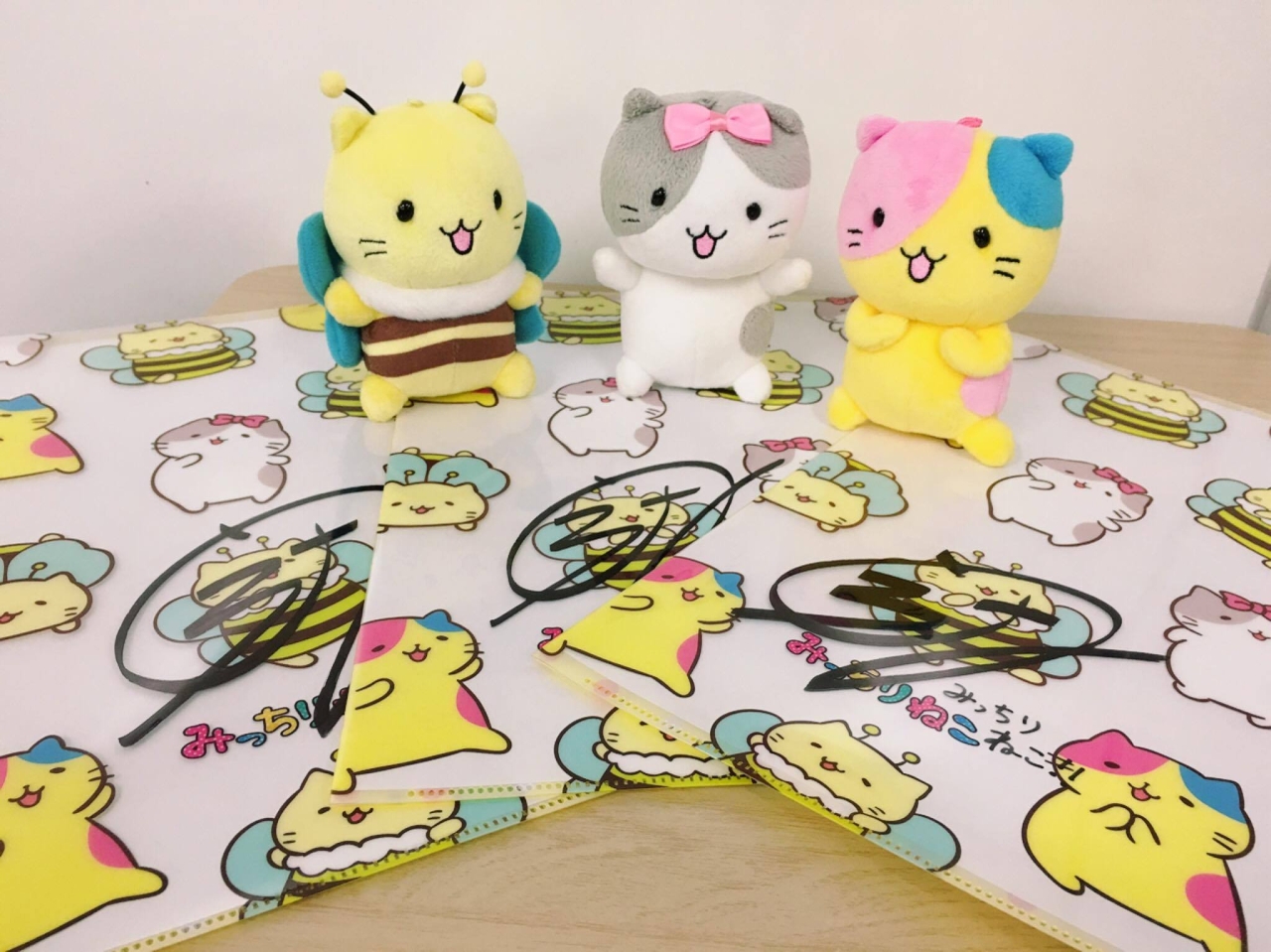 ꡼ No.007 | ֤ߤäͤPOPסȫ ʹ󤬥ʥ졼̳뿷PV