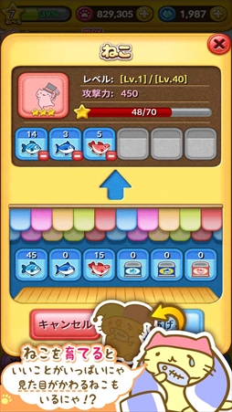 画像ギャラリー No.006のサムネイル画像 / 「みっちりねこPOP」,動画で話題の美猫「はにー」が新登場。お得なアップデート情報も