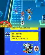 ꡼ No.013Υͥ / ֥ǥ˥С ץ󥹥פǤ121ȯ䡣ͽڡ̸ŵ»