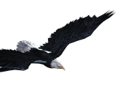 ꡼ No.009 | ARCANE-󎰡׻ϿԿ3ͤˡƥľ󤬸