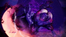 ꡼ No.012Υͥ / ֥٥륻륯̵Сץåɡϥɡ֥եȡפ䡤ǡ̵¿⡼ɡפʤɤξ󤬸ˡ101ŹƬθ񤬳