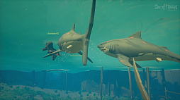 ꡼ No.047 | ±˲ϤʤġĤ⤷ʤSea of ThievesפΥɦ¥ƥȤ˻äƤߤ