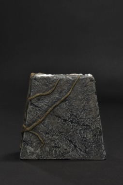 ꡼ No.043 | ֥åɡ֡פΥХɥ֥ƥåȥץߥޥ饤о