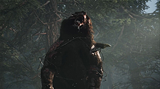 ꡼ No.014Υͥ / PS4Days Goneפͽդȡŵϡ֥Хåץ졼ɥѥåפȡ֥ɥեܥ