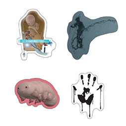 ꡼ No.013 | DEATH STRANDINGסȯ5ǯǰŸܥݥåץåץ٥Ȥ118ëPARCOˤƳšåǺ