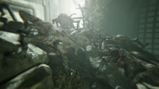 ꡼ No.005 | ֥Хϥ7쥸ǥ ӥס̵DLCNot A Heroפοȥ쥤顼