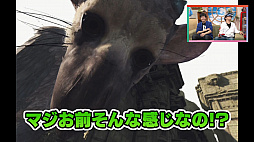 ꡼ No.006Υͥ / PS4¶Х饨ƥ֥פ7󤬸Farpointפ֥ȥꥳVRפץ쥤