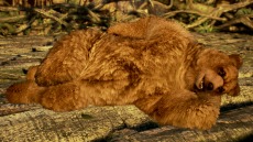 ꡼ No.005Υͥ / ǡŴ7פ˥ޡѥ8ͤͷ٤뿷⡼ɡ֥饤ȡʥȡפɲä