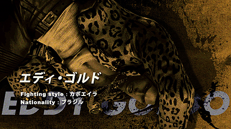 ꡼ No.009Υͥ / 2ָȯ䤬Ŵ7ס󥰤ˡʤ7ͤ˥ե饯ԥɥȥ쥤顼2Ƥ