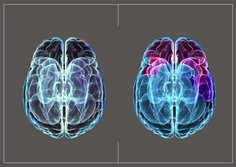 ꡼ No.014 | ֥Хϥ7 쥸ǥ ӥפκǿPVTAPE-4ȥ쥸ǥ ӥɡפëMODIǤΥ٥Ȥ䥳ܶʤɤξ