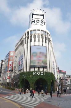 ꡼ No.015 | ֥Хϥ7 쥸ǥ ӥפκǿPVTAPE-4ȥ쥸ǥ ӥɡפëMODIǤΥ٥Ȥ䥳ܶʤɤξ