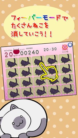 �ͤ����å��ѥ���