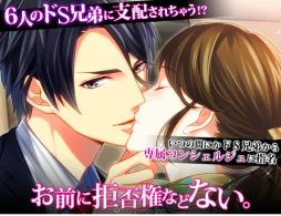 ꡼ No.006 | ֥Sơפۿϡǰڡ»