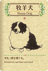 ꡼ No.011Υͥ / ҤĤ䤷ƤޤȤƽƤޥ۸1ѥɥ֥եShephyפۿϡΥåץǡȾ