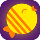 �ѥå�����