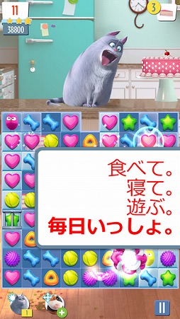 �ڥå� ���ˤ���å���