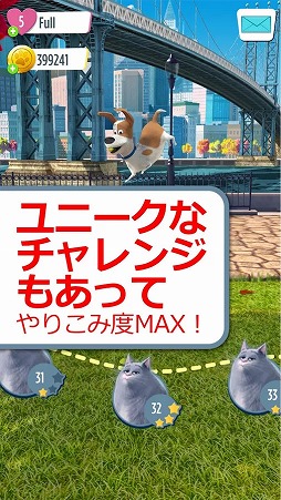 �ڥå� ���ˤ���å���