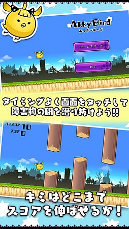 あっきーばーど