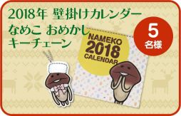 画像ギャラリー No.009のサムネイル画像 / 「なめこの巣」で100万DL突破を記念した企画第3弾が開催