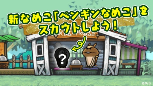 ꡼ No.005Υͥ / ֤ʤᤳסꥹޥڥ2018šԡ֥ȥꥹޥפ򳫻