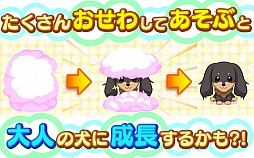 わんちゃんがやってきた!