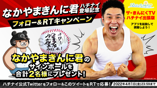 ꡼ No.003 | ֥ϥʥסȤʤޤ˷ɤ41ǥץо