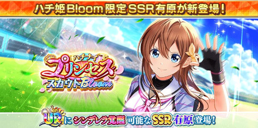 ꡼ No.004 | ȬΥǥʥסƤ緿ڡȬƺסɤ򳫺