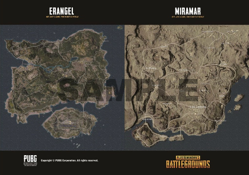 画像ギャラリー No.004のサムネイル画像 / 女性限定の第二回「PUBG GIRLS BATTLE」大会スケジュールと観覧者プレゼントが公開